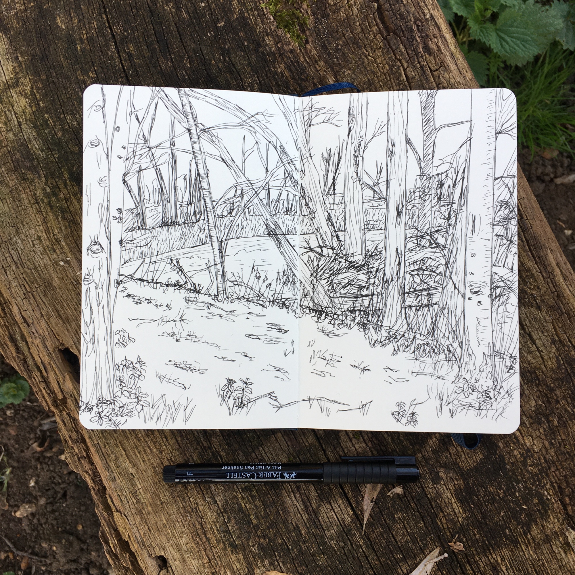 Image shows an open sketchbook lying on a rough wooden bench. On the pages of the sketchbook is a rough pen sketch of trees surrounding water and marshland.